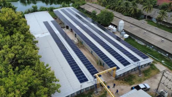 Thong Urai Development Co., Ltd. 3